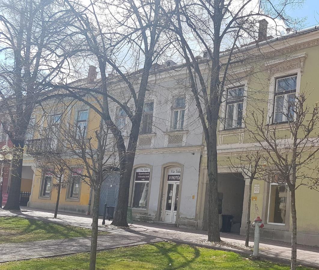 Apartamento Via Tokaj Vendégház Sátoraljaújhely Exterior foto