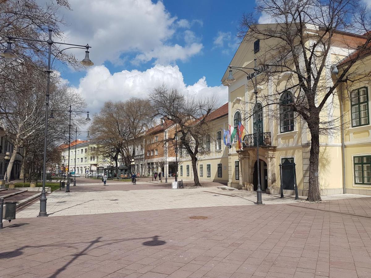 Apartamento Via Tokaj Vendégház Sátoraljaújhely Exterior foto
