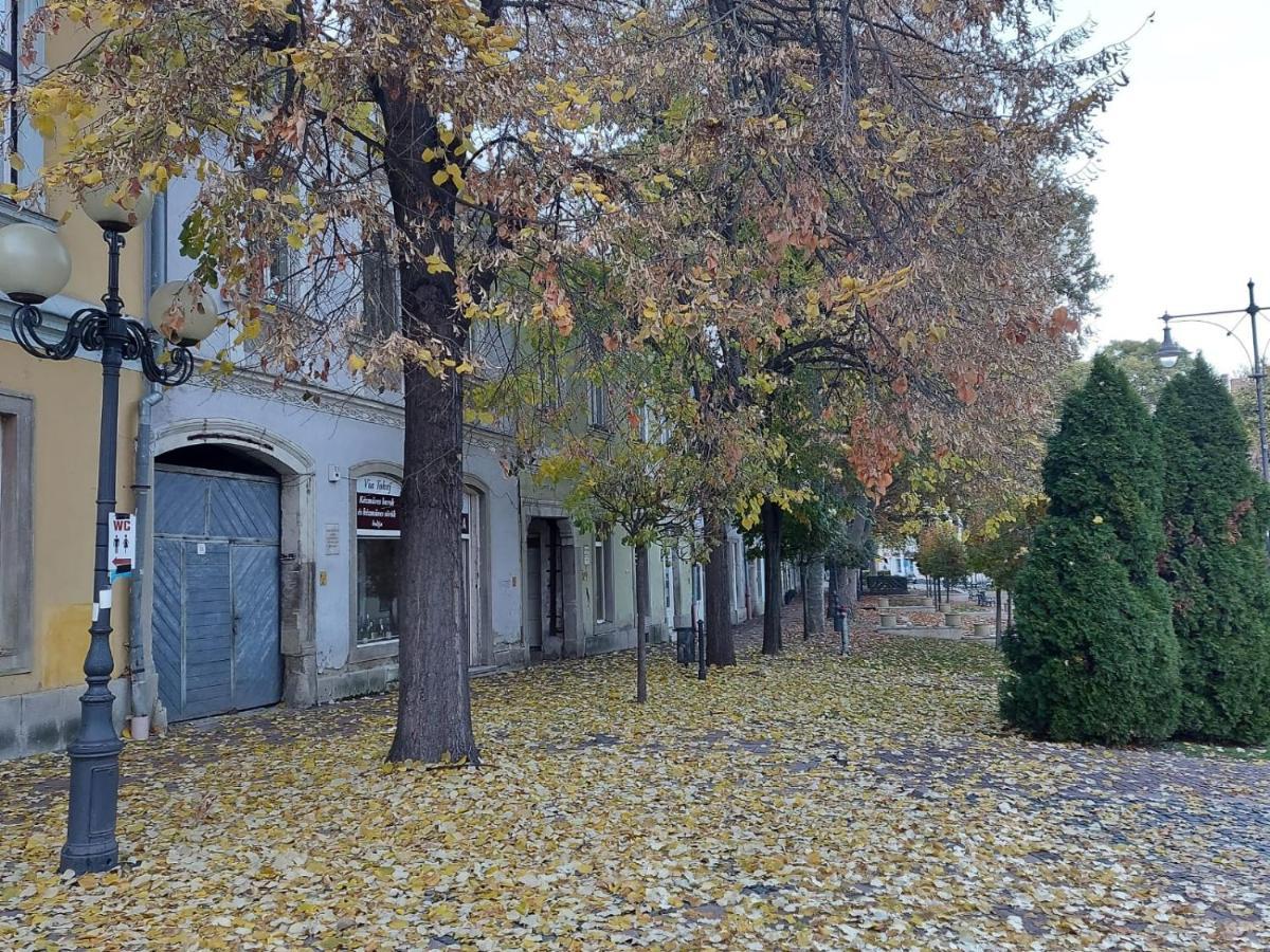 Apartamento Via Tokaj Vendégház Sátoraljaújhely Exterior foto