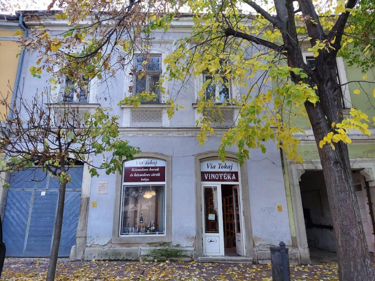 Apartamento Via Tokaj Vendégház Sátoraljaújhely Exterior foto