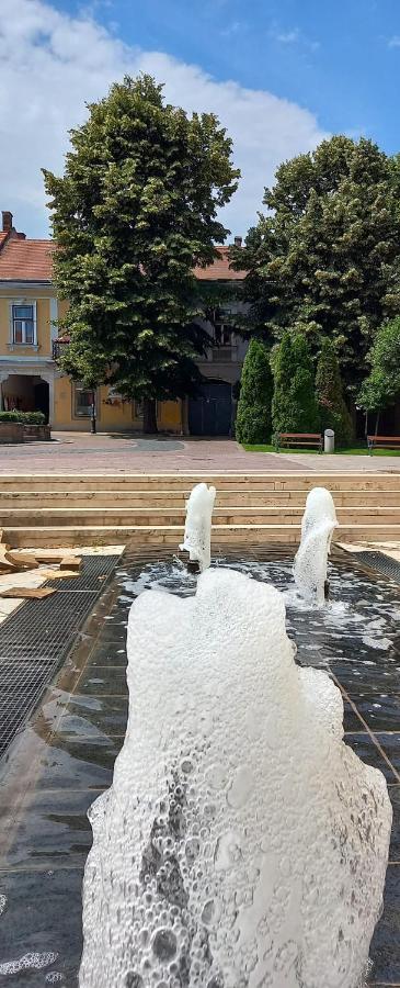 Apartamento Via Tokaj Vendégház Sátoraljaújhely Exterior foto