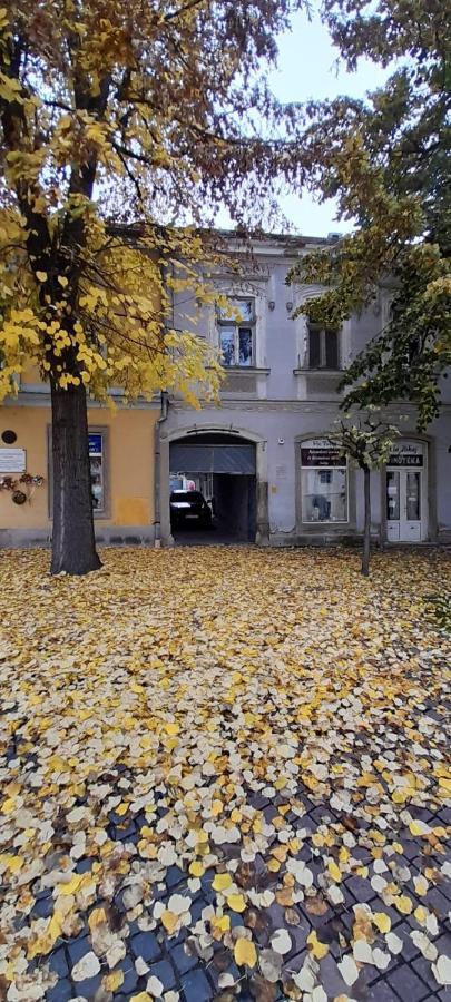 Apartamento Via Tokaj Vendégház Sátoraljaújhely Exterior foto